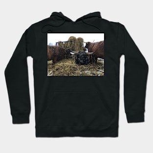 Scottish Highland Cattle Cows and Bull 2181 Hoodie